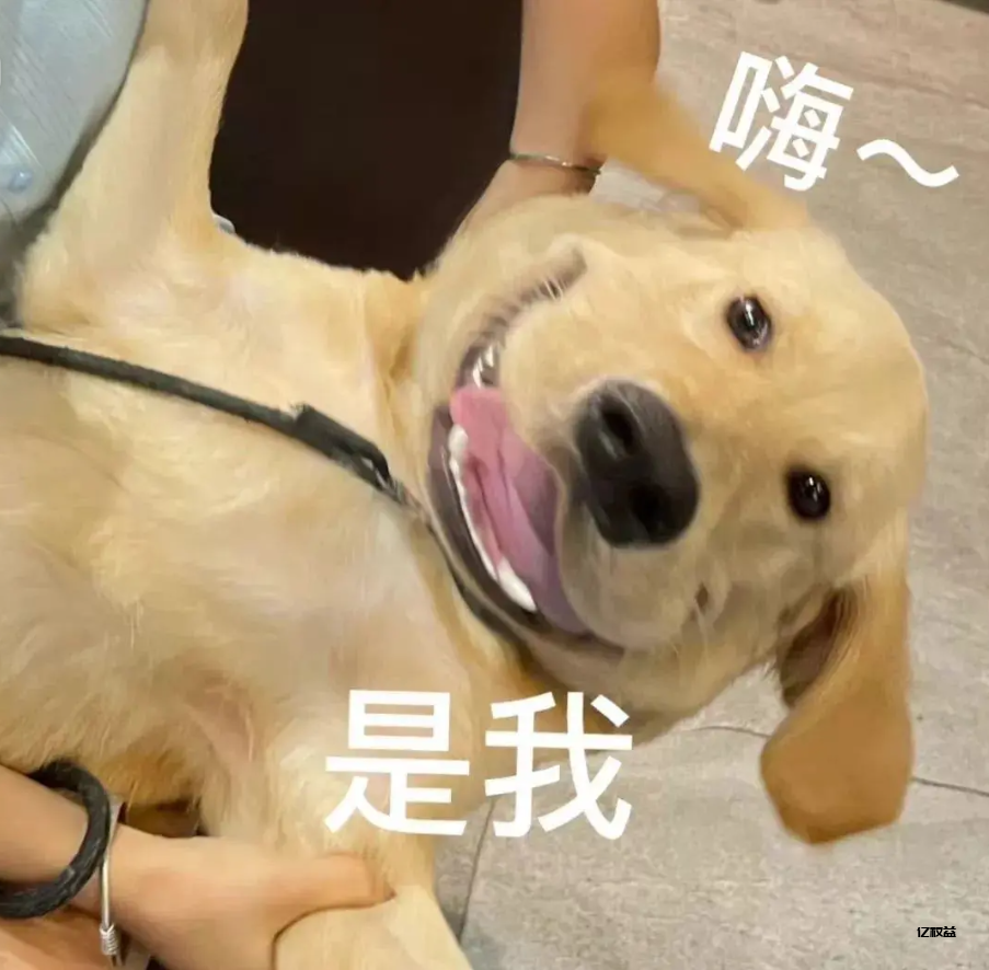亿权益-使用前必读-亿权益官方博客-官方资讯-山东亿梦网络科技有限公司