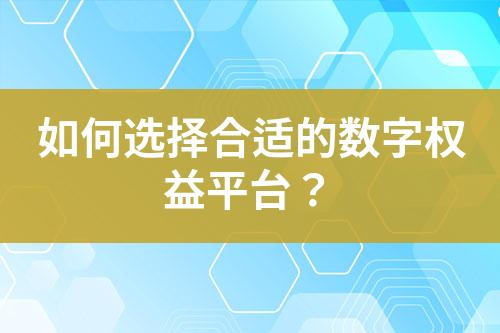 如何选择合适的数字权益采购平台?-亿权益官方博客-官方资讯-山东亿梦网络科技有限公司