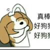 圆圆鼠的头像-亿权益官方博客-官方资讯-山东亿梦网络科技有限公司